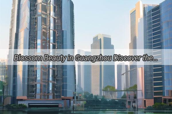 Blossom Beauty in Guangzhou Discover the Citys Finest Flower Shops